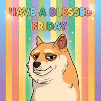 Shiba Inu Rainbow GIF by Doge Pound