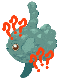 Mola Mola Illustration Sticker