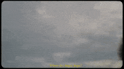 GIF by Prentiss