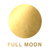 Full Moon Love Sticker by Danielle LaPorte