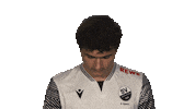 Alex Dave Sticker by Bundesliga