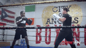 diddy mark wahlberg diddy mayweather GIF