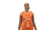 Basketball Flex Sticker by Tango Bourges Basket