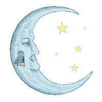 Fun Star Sticker by HENDRICK'S GIN