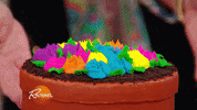 rachaelrayshow funny food gif rainbow GIF