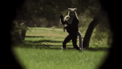 GIF by Drunk History