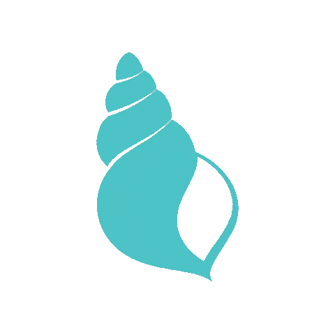 Summer Shell Sticker by taudrey jewelry
