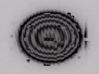 nicolaslalonde glitch videosynthesis lzxindustries target GIF