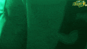 North Dakota State Bison GIF by NDSU Athletics