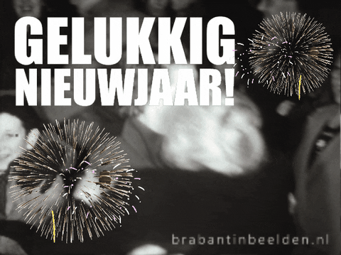 Happy New Year GIF by BrabantinBeelden