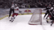 ice hockey yes GIF by EC Red Bull Salzburg