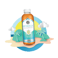 gtslivingfoods orange kombucha guava synergy Sticker