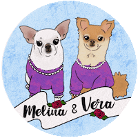 Chihuahuas Love Sticker