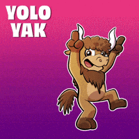 All In Yolo GIF by VeeFriends
