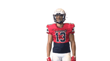 G Gio Sticker by Richmond Spiders