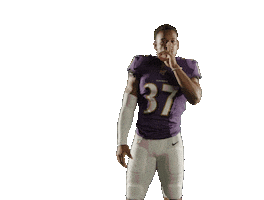 No Fly Football Sticker by Baltimore Ravens