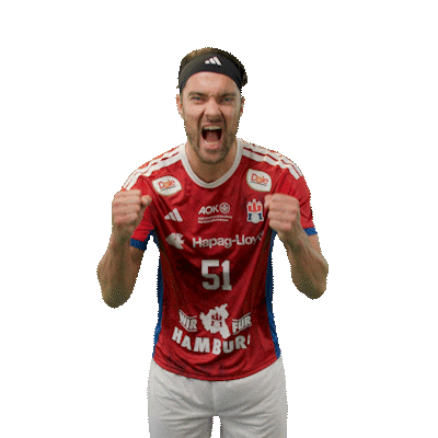 Handball Hamburg Sticker by DAIKIN HBL