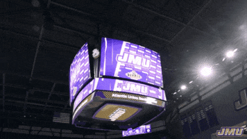 Basketball Win GIF by James Madison University