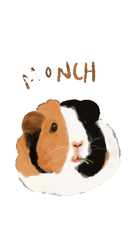 Munch Guineapig Sticker