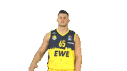 Ewe Baskets Basketball Sticker by EWE Baskets Oldenburg