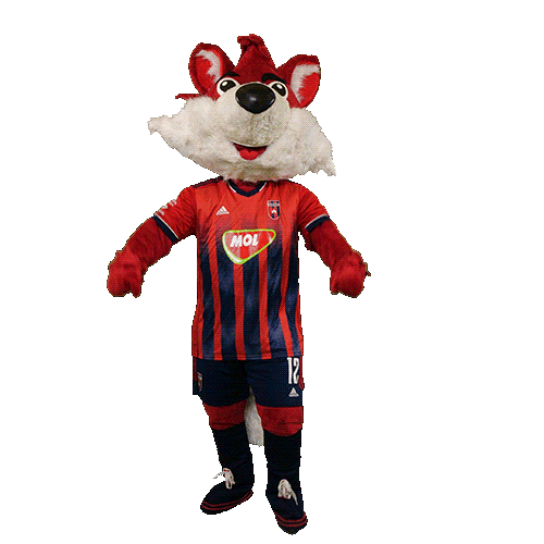 molfehervarfcgif giphyupload fox roka vidi Sticker