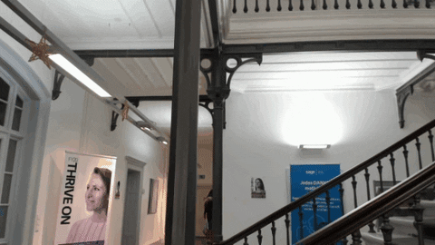 GIF by Mo HQ