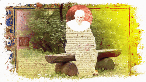 DiarioDeNoticias giphyupload GIF