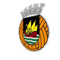 rio ave Sticker by Rio Ave Futebol Clube