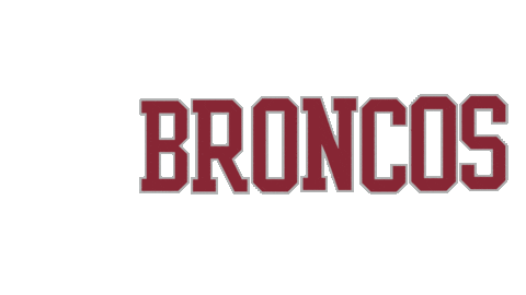 Santa Clara University Go Broncos Sticker by Santa Clara Broncos