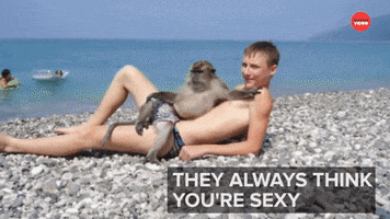 Best Friends Funny Animals GIF by BuzzFeed