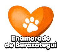 San Valentin Corazon Sticker by Juan Jose Mussi