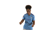 Come On Celebration Sticker by Barclays FAWSL