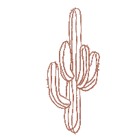desert cactus Sticker by Spell & The Gypsy Collective