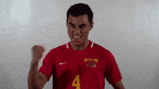 Wheeling University GIF by WU Cardinals