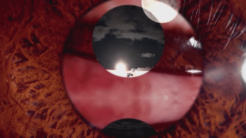 Art Video GIF by jorgemariozuleta