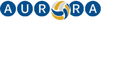 Sport Play Sticker by Aurora Beach Volleyball