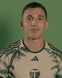Mls Portland GIF by Timbers