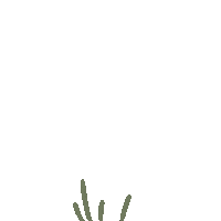 Flower Gift Sticker