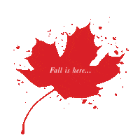Fall Autumn Sticker
