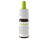 Mary Jane Cbd Sticker by Die Naturburschen