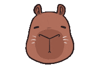 Illustration Loop Sticker