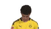 Its Me Hello Sticker by Bundesliga