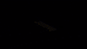 Rfem 6 07 GIF by Dlubal Software