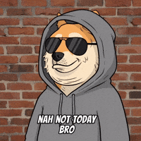 Shiba Inu No GIF by Doge Pound