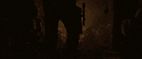 Han Solo Gambling GIF by Star Wars
