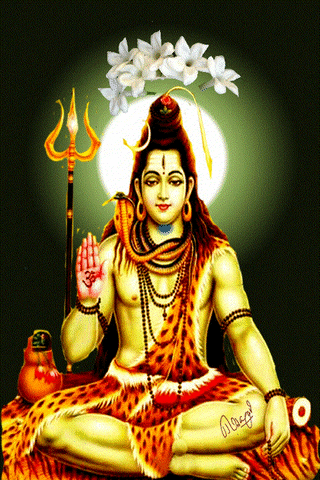 sachinsharmac046 giphyupload GIF