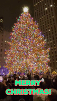 Rockefeller Christmas Tree Lights Turned On