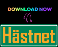 Hastnet hastar hästnet GIF