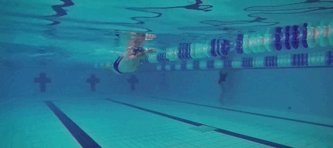 skillsnt giphyupload GIF