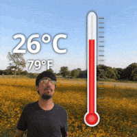 26 C GIF